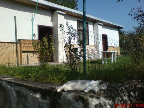 Apartmán Pronájem pokojů Belle Vue Vranov nad Dyjí Exteriér fotografie
